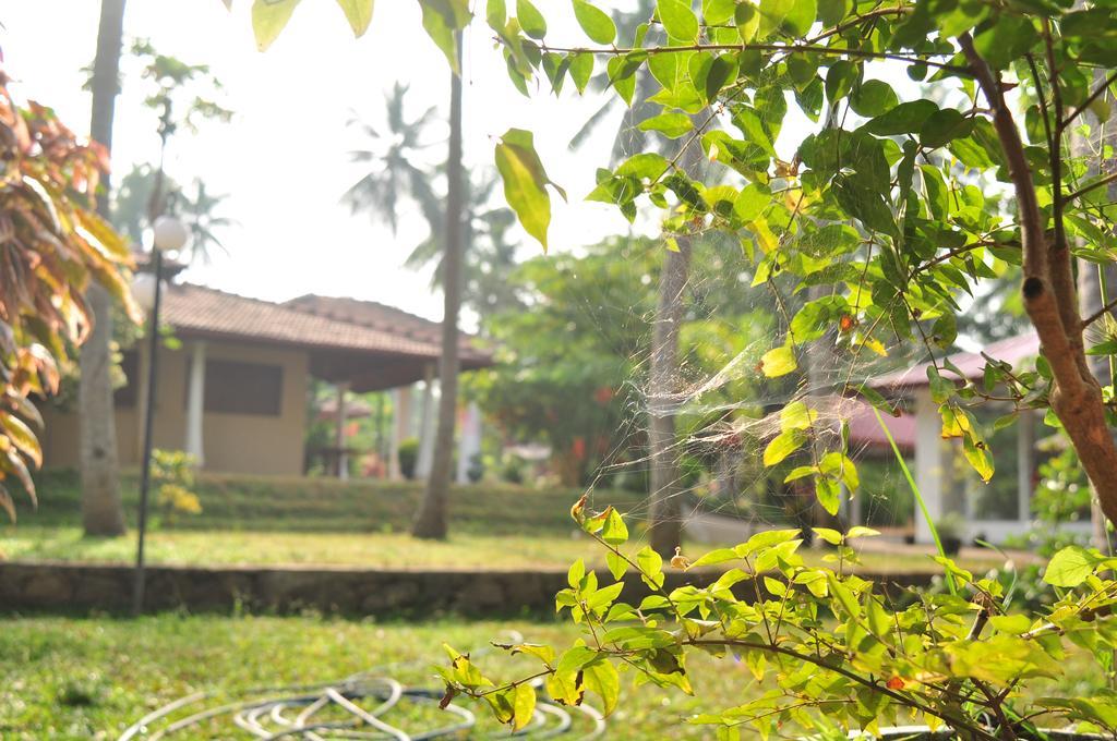 Soba Lanka Holiday Resort Melsiripura Bagian luar foto