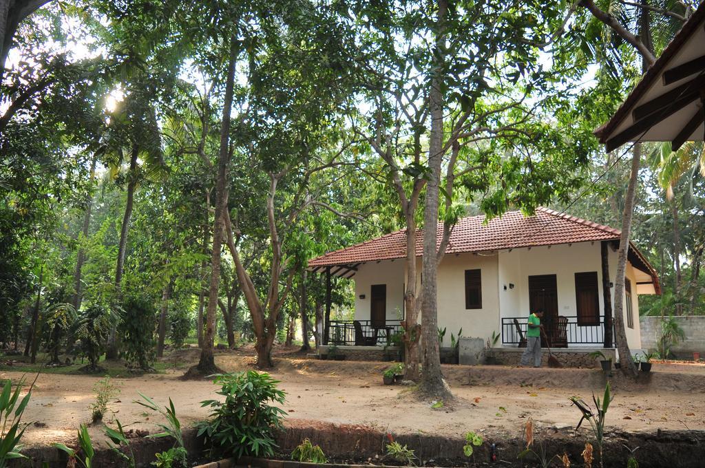Soba Lanka Holiday Resort Melsiripura Bagian luar foto