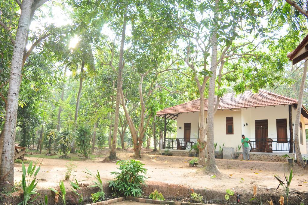 Soba Lanka Holiday Resort Melsiripura Bagian luar foto