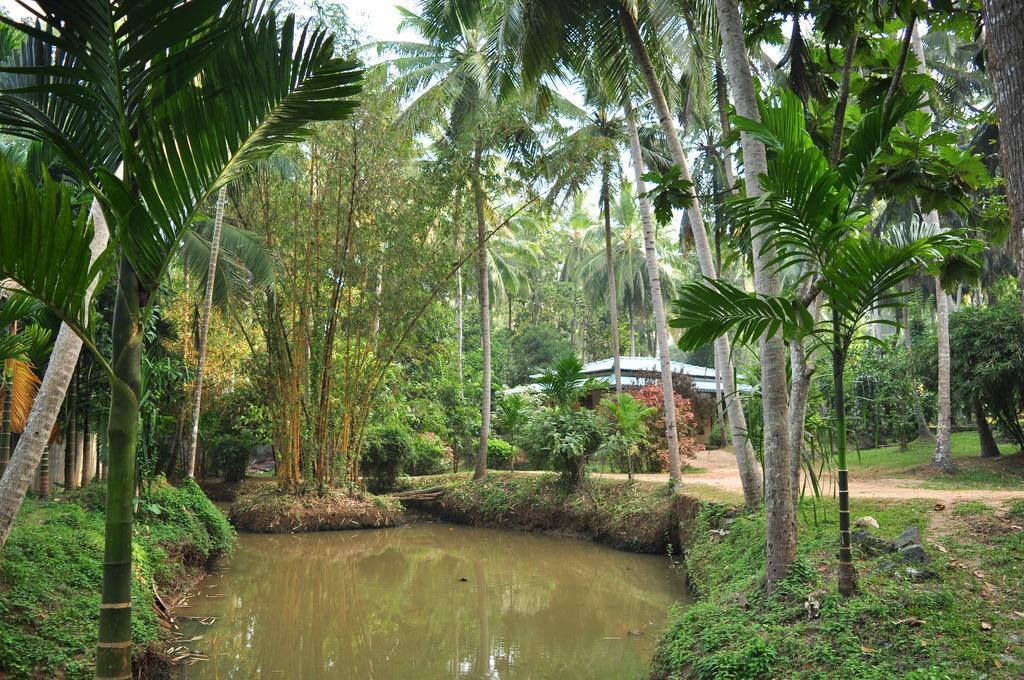 Soba Lanka Holiday Resort Melsiripura Bagian luar foto