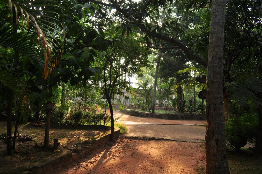Soba Lanka Holiday Resort Melsiripura Bagian luar foto