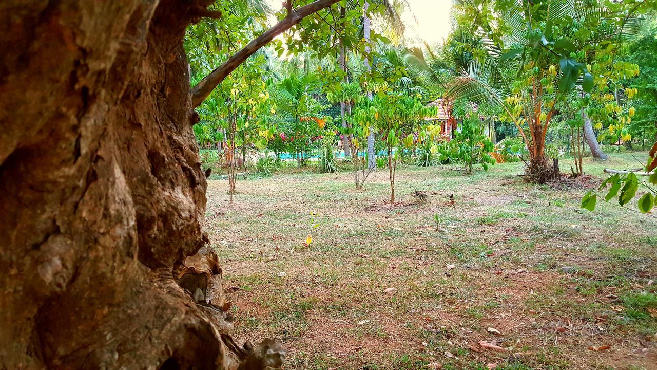 Soba Lanka Holiday Resort Melsiripura Bagian luar foto