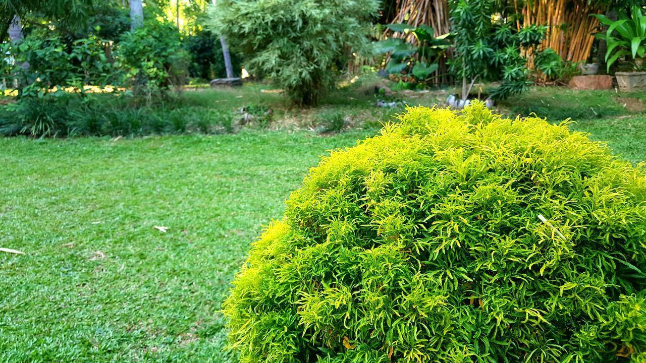 Soba Lanka Holiday Resort Melsiripura Bagian luar foto