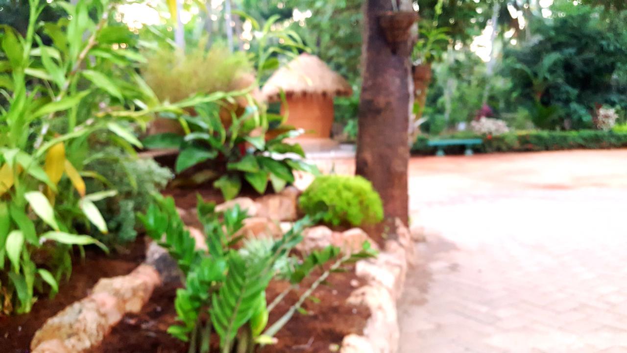 Soba Lanka Holiday Resort Melsiripura Bagian luar foto