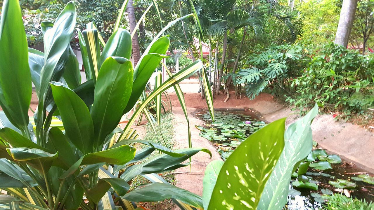 Soba Lanka Holiday Resort Melsiripura Bagian luar foto
